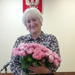 Судья Соколова Надежда Михайловна